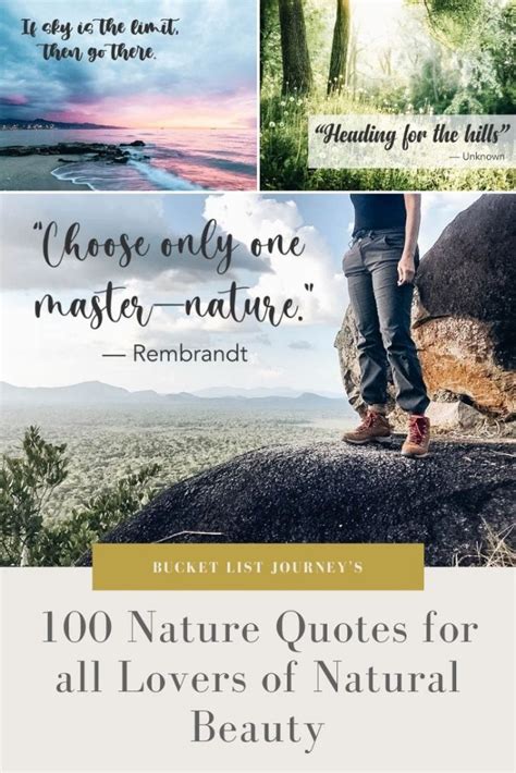 Connect with Nature and Appreciate Its Beauty