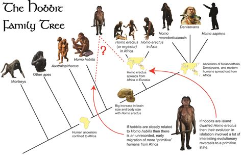 Connecting Our Dreams to our Prehistoric Ancestors