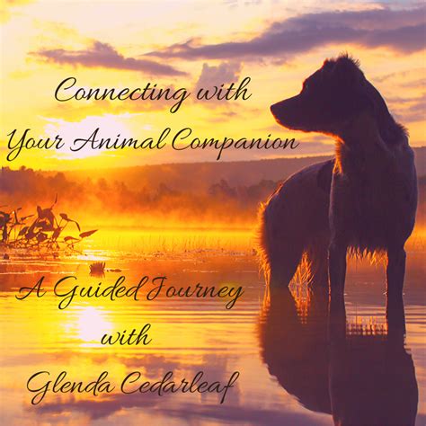 Connecting with Potential Animal Companions