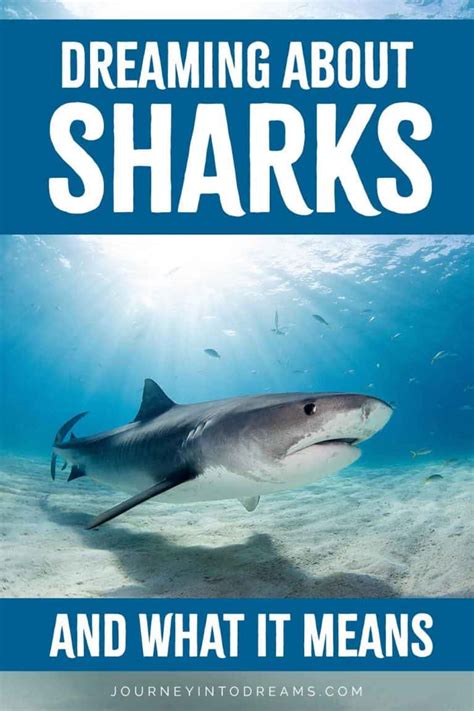 Conquering Fear and Anxiety: Overcoming the Dread of Shark Dreams