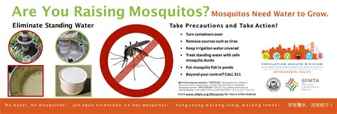 Coping Strategies: Managing Mosquito Swarm Dreams and Their Impact