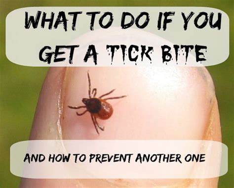 Coping with Tick Bite Dreams: Strategies for Managing the Impact on Daily Life