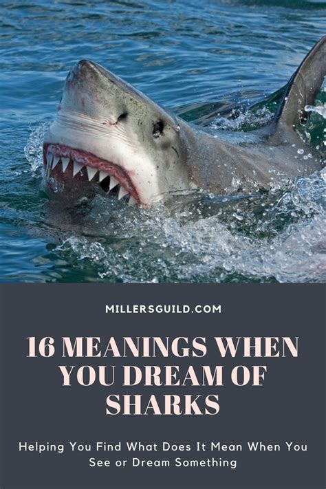 Coping with the Fear and Anxiety Triggered by Shark Dreams