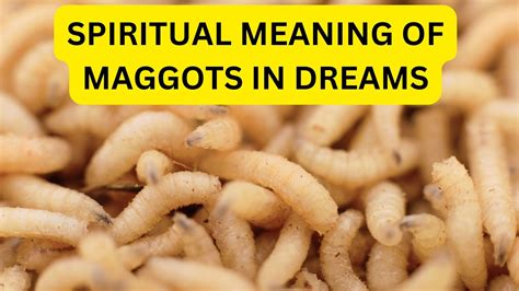 Cracking the Enigmatic Significance of Maggots in Dreamscapes