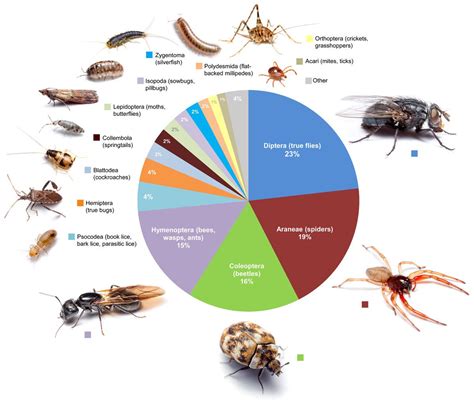 Crawling Creepers: Unraveling the Diversity of Bug Species in Dreamscapes