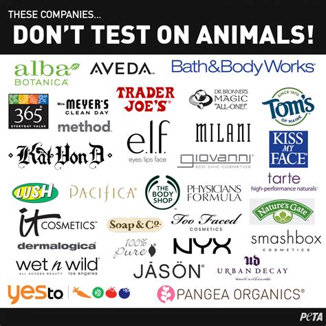Cruelty-Free Products that Promote Ethical Beauty