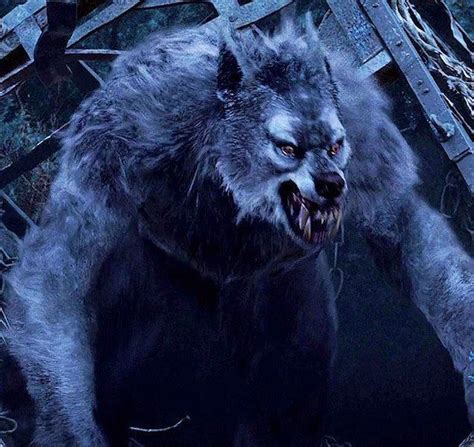 Cultural Context: Werewolf Legends from Around the World