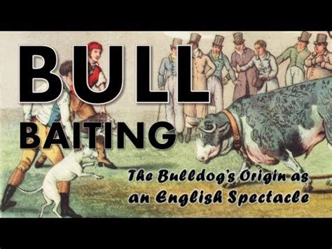 Cultural and Historical Significance of Bulldogs and Biting