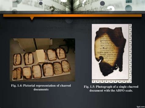 Cultural and Historical Significance of Charred Document Symbolism