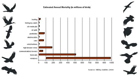 Cultural and Mythological Interpretations of Avian Mortality