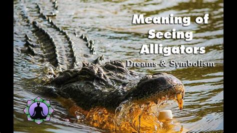 Cultural and Personal Context: How Individual Experiences Shape the Symbolism of Alligators and Crocodiles in Dreams
