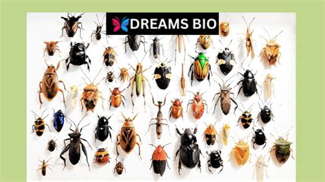 Deciphering Dreams: Decoding the Significance of Tiny Insects in Food