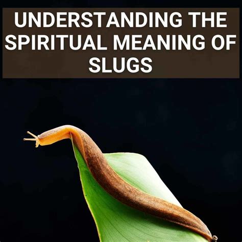 Deciphering the Enigmatic Creature: The Symbolic Significance of Slugs