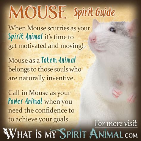 Deciphering the Mouse Symbolism: Unveiling its Significance in Dreams