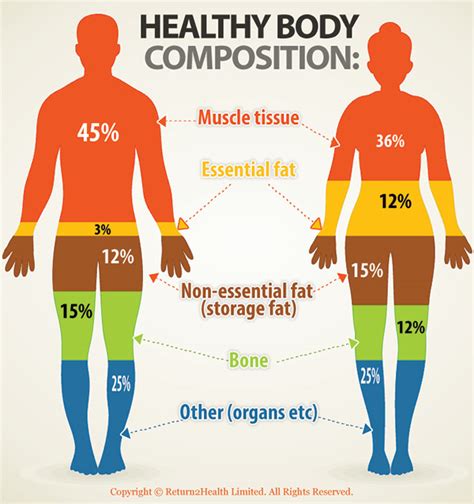 Decoding Lovely September's Physique: A Closer Look at Her Body Composition