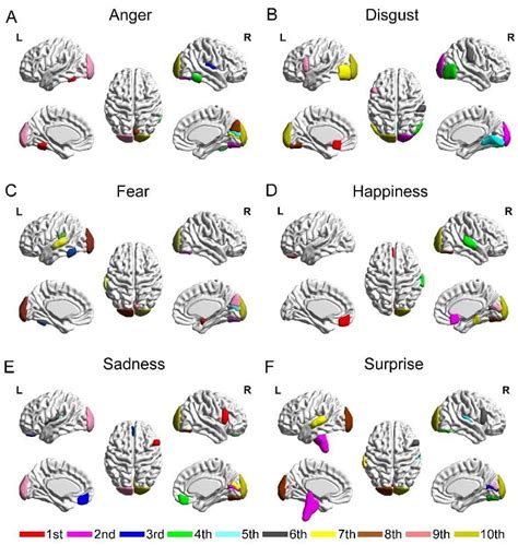 Decoding the Actions and Emotions Involved in Dreaming about Collecting Granules