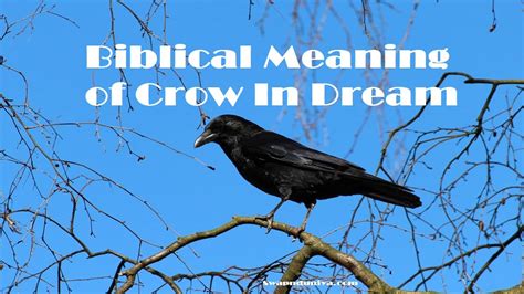 Decoding the Enigma of Dreams Involving the Consumption of Crows