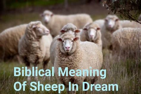 Decoding the Enigmatic Significance of Sheep in Dreams