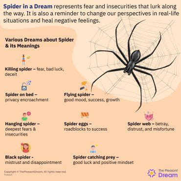 Decoding the Hidden Meanings of Money Spiders in Dreams