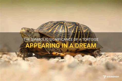 Decoding the Hidden Significance of Dreams Encompassing Multitudes of Tortoises