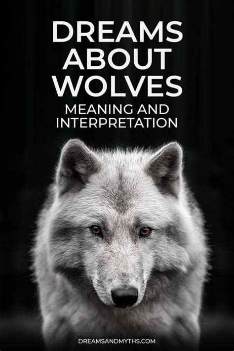 Decoding the Role of Gender in Interpreting Wolf Dreams