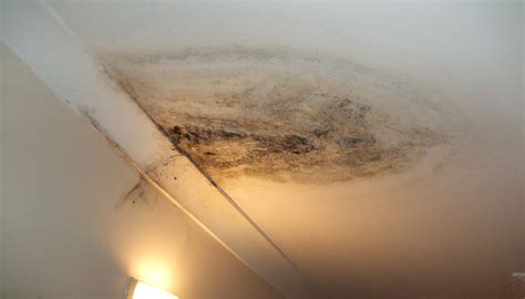 Decoding the Secret behind Water Seepage on the Ceiling: What Does it Signify?