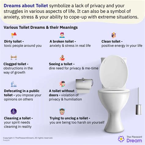 Decoding the Significance: Obstructed Toilets in Dreams