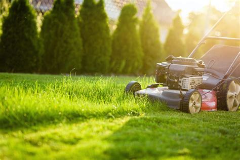 Decoding the Significance of Mowing: Regulating and Streamlining