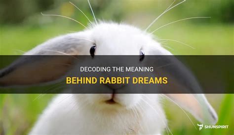Decoding the Significance of Rabbit Exploration in Dreams