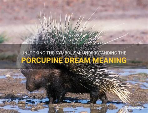 Decoding the Symbolic Meaning of Porcupines in Dreams
