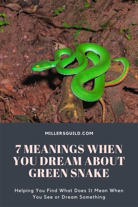 Decoding the Symbolism: What Does Dreaming About a Light Green Snake Mean?