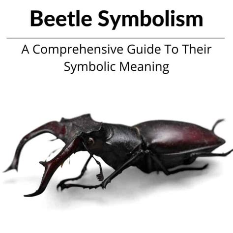 Decoding the Symbolism of Beetles Arising from the Epidermis