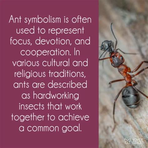 Decoding the Symbolism of Marching Ants on Surfaces