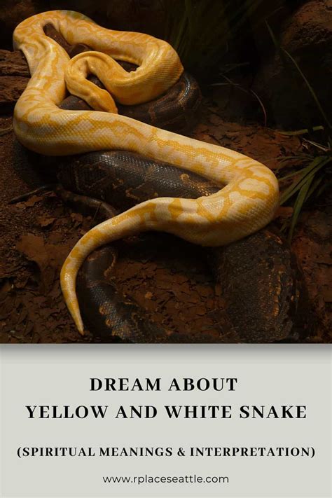 Delving into the Possible Interpretations of Dreaming about a Soaring Pale Serpent
