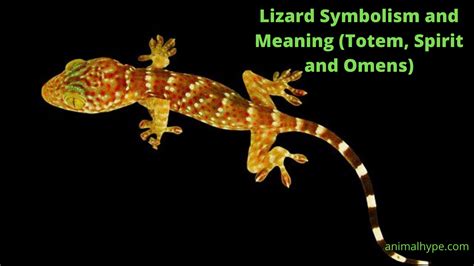 Different Cultural Meanings of Lizards in Dream Interpretations