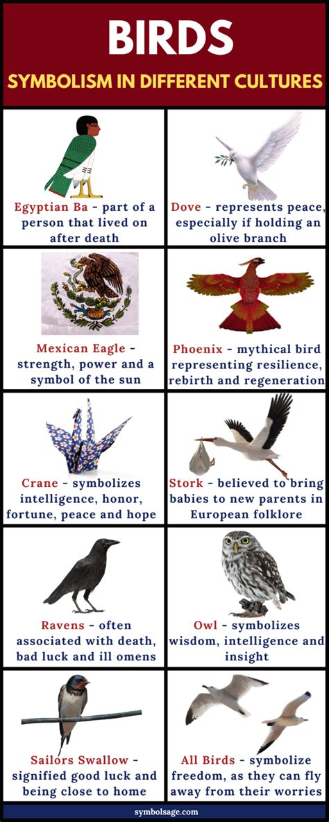 Different Types of Avian Species and Their Symbolic Significance