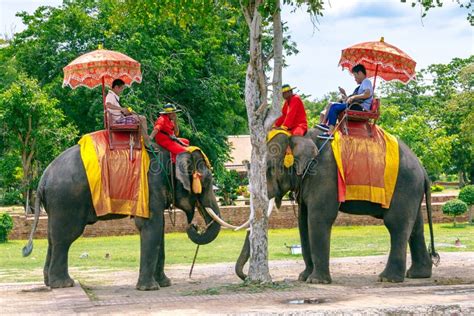 Discover the Ancient Tradition of Elephant Riding