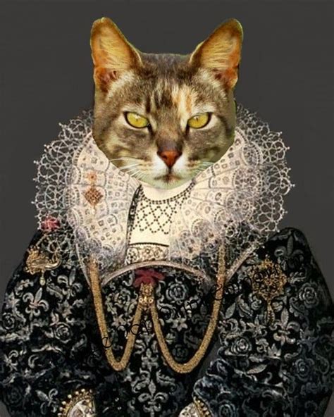 Discover the Enchanting Beauty of Feline Aristocrats