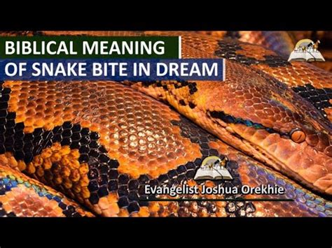 Discovering Life Lessons Through Dreams of Harmless Serpent Bites