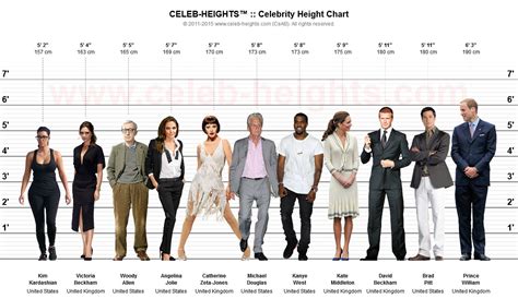 Discovering the Celebrity's Height and Body Measurements