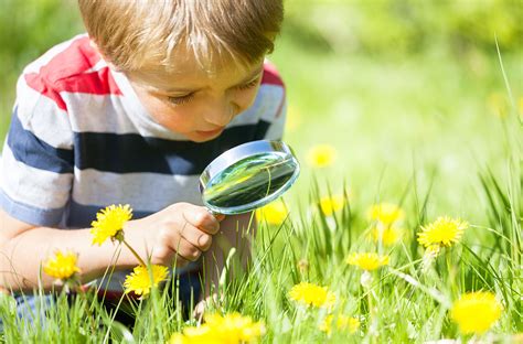 Discovering the Early Life and Education