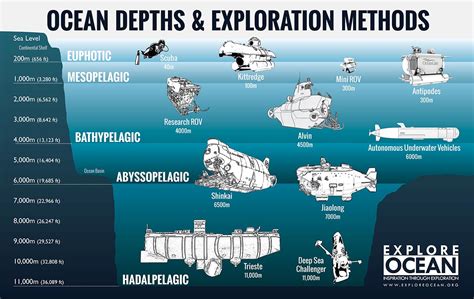 Diving into the Depths: The Unexplored World of the Ocean