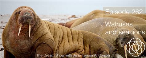 Diving into the Enigmatic World of Walrus Dreams