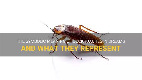 Diving into the Symbolic Meaning of Cockroach Invasion Dreams