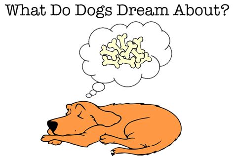 Dog Dreams: A Peek into the Canine Psyche