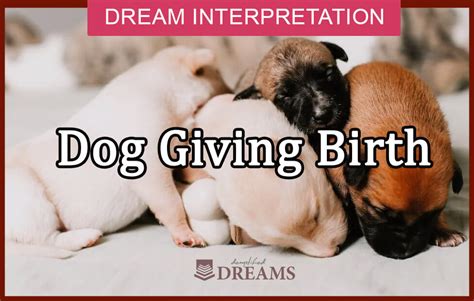 Dogs Giving Birth: A Powerful Symbol of Creation