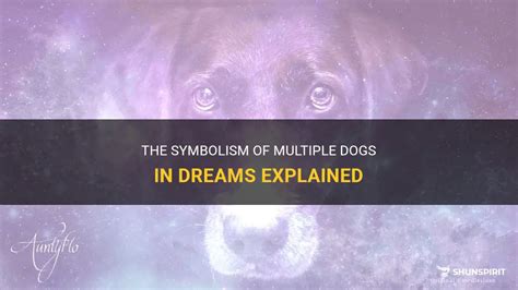 Dogs in Dreams: Symbolism and Meaning