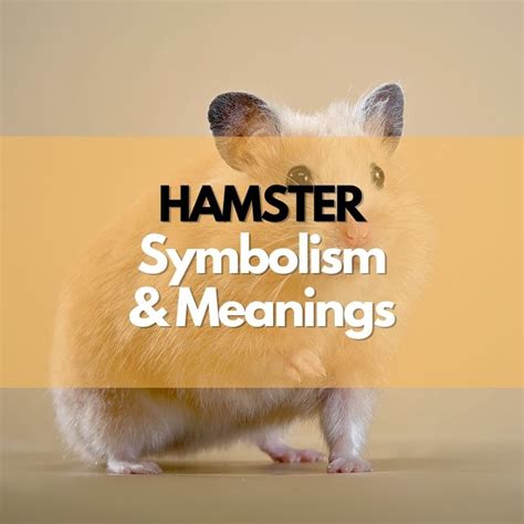Dreaming Beyond the Physical: Understanding Symbolism in a Hamster's Final Moments