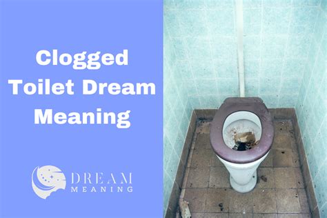 Dreams about a Clogged Toilet: What Do They Mean?