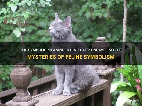 Dreams and Their Enigmatic Significance: Unraveling the Symbolic Representation of a Fleeing Shadowy Feline